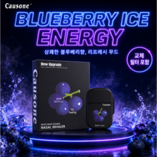 (코존코리아 공식몰) Causone코존 VER3.0 교체필터 파워에너지바, 1개, 인디고 블루베리