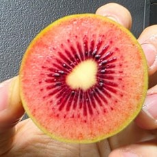 루비 레드 키위 특대과 30과, 1개