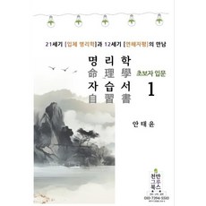 명리학 자습서 1:21세기 입체명리학과 12세기 연해자평의 만남, 천만그루북스, 안태윤 저