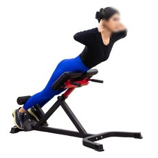 로만체어 백익스텐션 복근 코어 기립근 허리 운동 기구 홈트