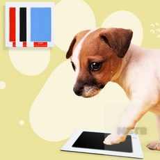심박한찌누 우리집 댕댕이 발자국 남기기 강아지 발도장 스탬프 강아지발바닥, 파
