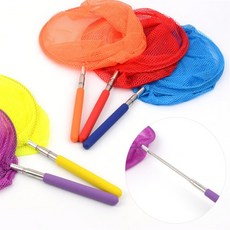 팥들 길이조절 잠자리채 자연관찰