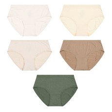 라페어 여성 팬티 5매입 세트 - C팩 90 95 100 105 size