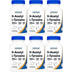 뉴트리코스트 N 아세틸 엘 티로신 350mg, 120개, 6개