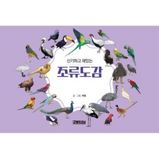 신기하고 재밌는 조류도감, 씨엘(저), 굿에듀러닝, 씨엘 글그림