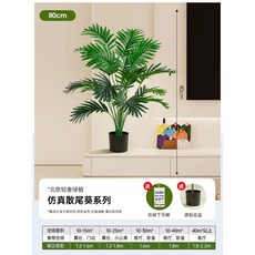 仿真 室內客廳裝飾落地擺件, 1個, 80CM散尾葵-小黑盆 送在樹下吊牌