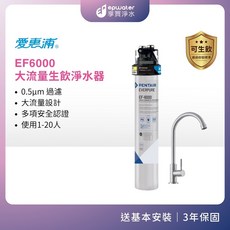 愛惠浦 EF6000 櫥下型大流量生飲淨水器 0.5μm過濾 3年保固, EF6000 (單道)