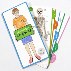 인체 몸구조 장기 근육 학습카드 1인용 신체교구 인체해부 자연과학완구 사이언스, 1개