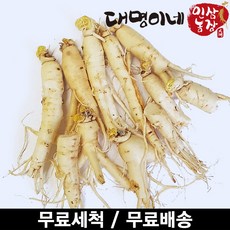 인삼수삼 오쿠1회분 세척 파삼 250g, 1개
