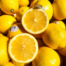 신선한 팬시 레몬 상큼 팬시레몬 레몬팬시 레몬청 레몬에이드 항공직송 생레몬, 20개