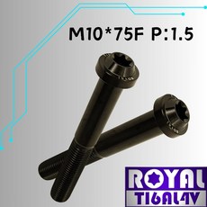 ROYAL M10*75F P:1.5 飛碟頭型螺絲 64鈦/鈦合金螺絲 帝王黑, 1個