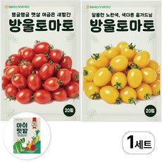 NH농우바이오 빨강 방울토마토 노랑 방울토마토 씨앗 종자 2종, 1개
