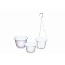 白色塑膠掛盆, 詳見包裝, 詳見包裝, 詳見包裝, 6寸植物【6寸白色塑膠掛盆】