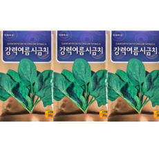 여름시금치씨앗 3봉1세트 강력여름시금치종자 고온기 파종, 3개