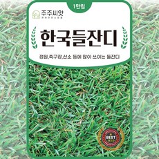 [주주씨앗] 한국들잔디 씨앗 산소잔디씨 묘지용 잔디 종자 약 10000립, 1개