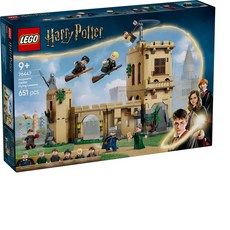 LEGO 76447 Harry Potter™ Hogwarts™ Castle： Flying Lessons, 1個, 混色