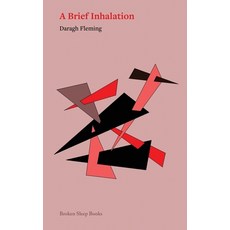 (영문도서) A Brief Inhalation Paperback, Broken Sleep Books, English, 9781916938878