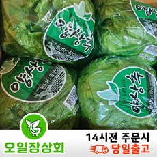 < 오일장 상회 > 국내산 양상추 개별 포장 6통, 6개, 250g