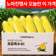 [마지막초특가] 당일수확 산지직송 고당도 초당옥수수, 1박스, 5개 (중품)