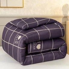 겨울철 학생 건설 현장 노동 보호용 면 누비이불 싱글더블 여름 시원함겨울 따뜻함, D. 첫 만남 - 화학섬유 이불