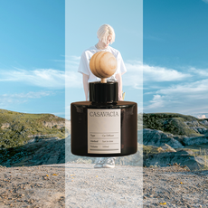 카사바시아 대시보드 차량용 방향제 디퓨저 차량 카, 1개, One