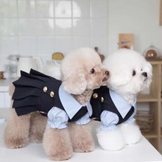 寵物服裝泰式校服款清純經典主人衕款帥氣時尚中小型犬適用, 1個, 單襯衫,s 胸圍35