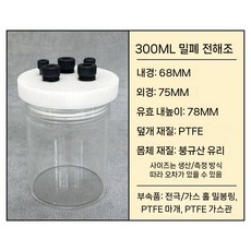 전해조 실험장비 실험 장비 전극 밀폐형 C002 화학 전해셀, 밀봉 전해질 셀 300ml