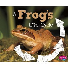 A Frog's Life Cycle Hardcover, Capstone Press