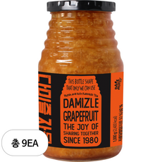 다미즐 자몽 액상차, 1kg, 1개입, 9개