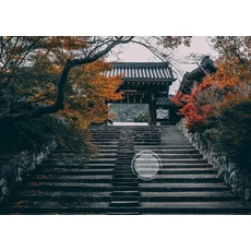 오로라 오로라 오로라 풍경 포스터 및 프린트 캔버스 페인팅 벽 예술 산 사진 거실 홈 데코, 24)20X30cm Unframed  6, 24 wg279-21