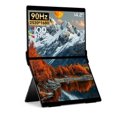 EHOMEWEI 이홈웨이 X시리즈 14.2 16 18.5인치 IPS QLED 휴대용 모니터 FHD 2K 60Hz 100Hz 노트북 스위치 듀얼 서브모니터, XP-142NW, 36.07cm