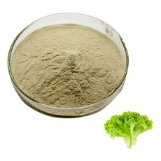 상추추출분말 100g 샘플 shd*44897cg, 상추추출분말 100g 샘플 맛분말 한방농축액, 1개