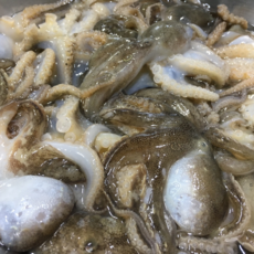 국내산 급냉 쭈꾸미 주꾸미 냉동 제철 조업 선도유지, 1박스, 1kg