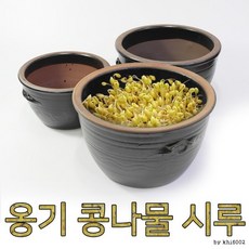 청시루 콩나물재배기 SC-9000 국내용 일반형 새싹 국산 자동 재배기, 1개