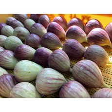 영암 홍무화과, 1박스, 2kg내외(24~32과)