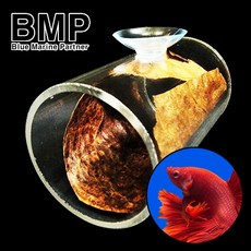 다팜아쿠아 BMP BTB-S 탈부착 지름 4cm 길이 5cm 알몬드잎 은신처 아크릴 소형 베타 터널 침대, 1개