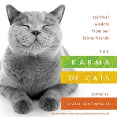 (英文圖書)The Karma of Cats: Spiritual Wisdom from Our Feline Friends 平裝版, St. Martin's Essentials / S..., 英文