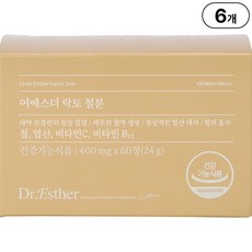 본사직영 여에스더 락토 철분 l 비헴철 X 엽산 X 비타민 2종 l, 60정, 6박스