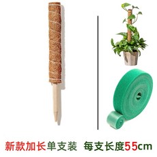 넛 기둥 식물고정 몬스테라 지지대 스틱 야자, E. 단일 팩 55cm 길이 벨트
