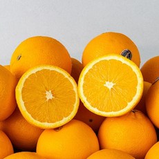 기타 퓨어스펙 블랙라벨 오렌지 (M) 10개입 (개당 190g내외), 10개