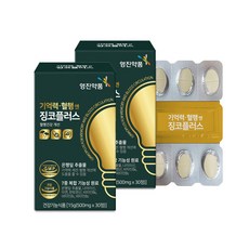 기억력 혈행 관리 은행잎 징코플러스 30정x2박스 부모님 중장년 두뇌건강 나이아신 아연, 30정, 2박스