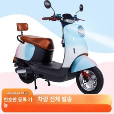 금해 전기오토바이 삼륜 오토바이 농업용, 1개, 스탠다드 60v26 블랙골드 그래핀 120마일