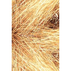 (영문도서) new year Paperback, Createspace Independent Pub..., English, 9781518896408