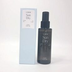 리베르 섬유향수 섬유탈취제, 100ml, 1개, (NEW)선 드라이