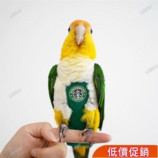 爆款下殺 第五代logo款鸚鵡鳥用尿不濕衣服屎兜尿褲飛行服 gQOe, 第五代蝙蝠俠款,小太陽更多品種咨詢客服, 1個