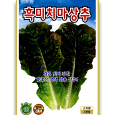 흑미치마상추 씨앗 3000립 진한 흑색 빛깔 쌈용으로 맛좋은 상추 품종 ks, 1개