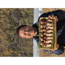 다울농장 국내산 천안 참송이버섯 광덕 산지직송, 1개, 미니 1kg