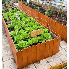 방부목울타리 안뜰 야외 정원테두리 휀스 가림막 가드 채소밭 화단, 평평형 평두10cm120cm두께1.2cm