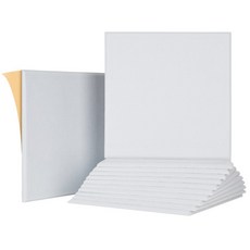 온빛 접착식 인테리어 9T 방음판 흡음재 30cm 30cm, 12개, 화이트