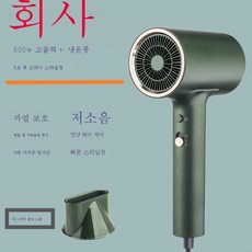 DFMEI 전기 헤어 드라이어 가정용 음이온 헤어 드라이어 고출력 소형 속건 냉온 헤어 드라이어, 녹색(자기 흡입 노즐)